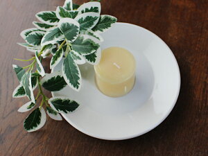 yAEgbgzʂԂ 14.8cm \[T[ (ڂ݃4.5cm) / H n Vv M v[g M Lh\[T[ 󂯎M