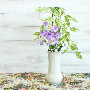 yAEgbgzS[hC Ԃǂ g[ ԕr [7×H14.8cm] /  G CeA [t GKg ItzCgԕr m   Ԃǂ ӂԂǂ