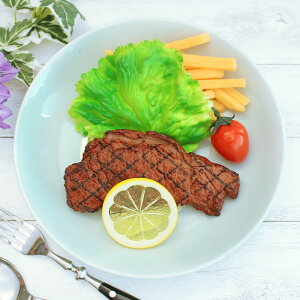 yAEgbgz ʉ pX^J[M [22.2×H4cm] /  ΐF pX^  aH v[g M [^ ƖpH amܒ