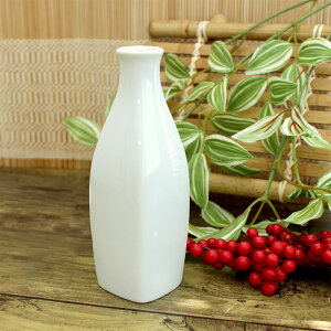 yAEgbgz p^ H14.7cm / aH  Ƃ   p^  n AEgbgH ֑}