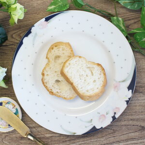 yAEgbgzt` JgA pM[16.2×H1.5cm] /  S[hC P[Lv[g P[LM pv[g ԕ 敪M M XM َqM eB[^C mH hbg 