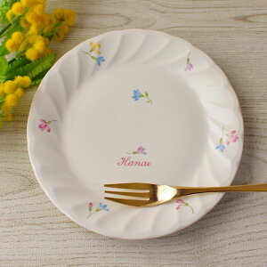 yAEgbgzԃlW 16.2cm v[g / ԕ P[LM P[Lv[g M 敪M mH v[g M pv[g pM