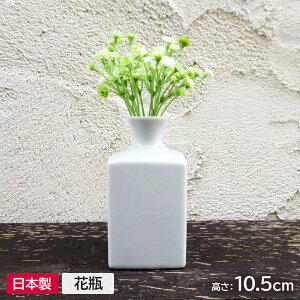 yAEgbgz֑} ێ lp` h10.5cm /  ԕr  ~j  lp XNGA CeA