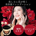【美容液ファンデ】VanCleo バンクレオ プレミアムクッションファンデーション SPF50+ PA+++ [艶肌 薄付き シミ ハリ エイジングケア メイクアップ 保湿 韓国コスメ 30代 40代 50代 グルタチオン ナイアシンアミド イデベノン 保湿 美容成分 植物