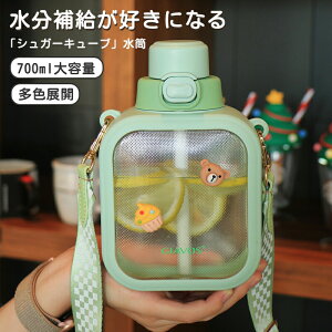 ySXő20%OFFN[|zzz Ȑ lp`̐ EH[^[{g ėp X|[c{g 700ML V_[Xgbvt Xg[t  q gу{g |  