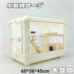 Si10OFFN[| nX^[P[W pP[W  60*39*45 IV ^  Vv NA ώ@₢ SB AN ʋC |₢ V ʔ