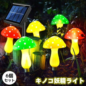 ySXő20%OFFN[|zzz{fBuV i _炩 180{ɍז Onh ɗD fBPA _炩 w {fB[uV w􂢃uV  wuV jLr 