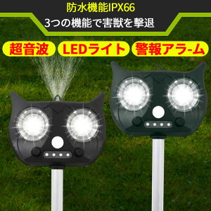y20`}\Si10%OFF L悯 g 2Zbg Aj}K[fBAII L ŋ L悯΍ L΍ L΍ObY Qb΍ g 悯 g 悯ObY