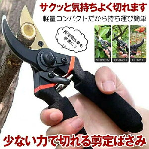 ΂ nT~ }؂oT~ ͂ Kтɂ tbfR[eBO ₷ oT~  Ă΂ }΂ ؂̙   | nT~ K[fjO  