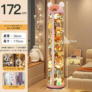 y2025NVACezʂݎ[{bNX [P[X NA fBXvCP[X RNVP[X ʂ [  e DIY W{bNX a30cm 112cm/142cm/172cm PETގ v