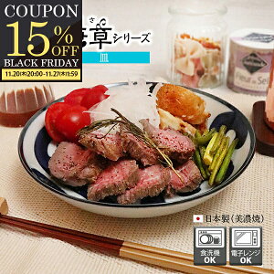 yԌ15OFFN[|zzIz pX^M J[M [M T_{E   哂 19.4cm ϕ a  aH  { H@ dqW Z  Xg 