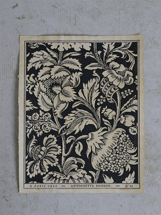 楽天市場】ドミノペーパー 59C Antoinette Poisson // アントワネット  