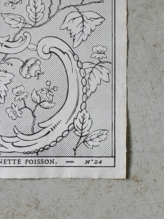 楽天市場】Antoinette Poissonドミノペーパー24A // アントワネット 