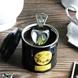 eB[LfBXv[TEA POT // eB[Xv[ Xv[ Jg[ XeX mH  Vo[ bL eB[|bg 킢  TO[X