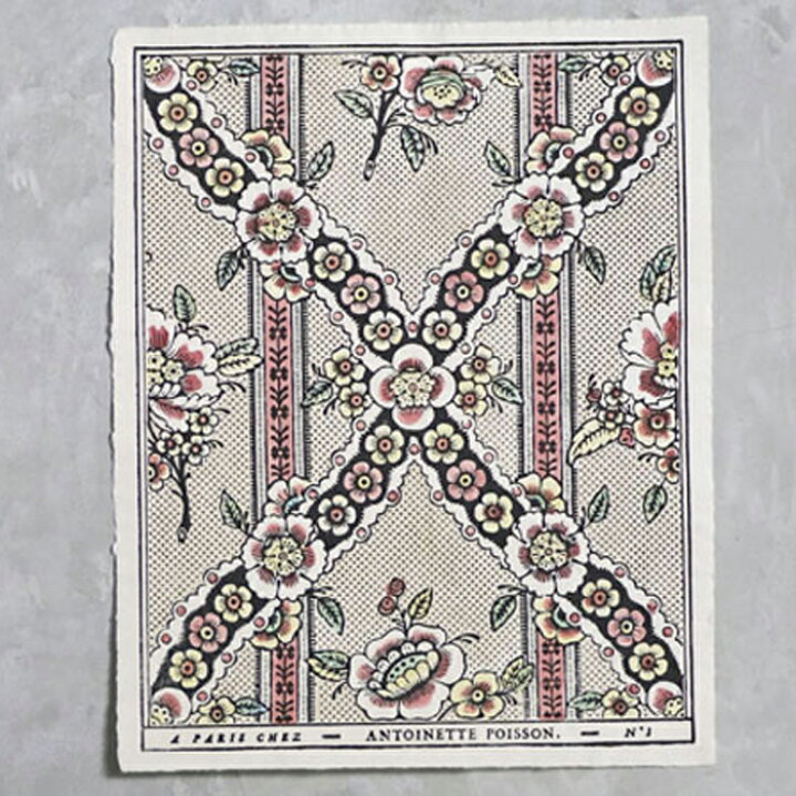 楽天市場】ドミノペーパー 1B 4色 Antoinette Poisson  