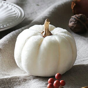 t@ubN pvL N[8cm // pvL nEB J{` ڂ u  nEBObY  zCg Halloween nEB[   Be 킢  IuW