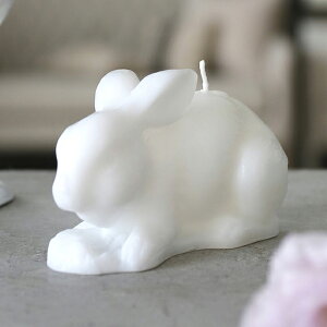 Lh RABBIT zCg CIERGERIE // Lh 낤 E\N XC i`  ETM e    C[X^[ IuWF u CeA C[X^[ v[g Mtg v