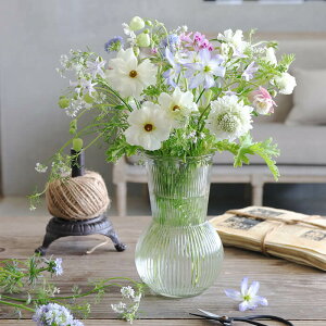 SacheKXx[XStripe // ԕr t[x[X KX NA Ԋ GKg NVJ AeB[N ֑} Ԃт  rO gC   킢 TO[X