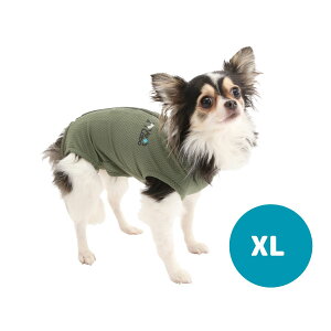 xbcEFA  p㕞 j̎qp p (XL) p vet's labo 畆ی앞