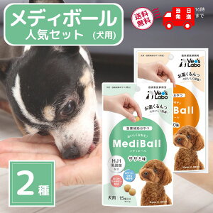 fB{[   `[Y  ܂  ⏕ Vet's Labo 