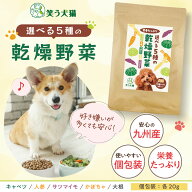 犬 野菜 おやつ 無添加 国産 5種の乾燥野菜 個包装 各20g ( 人参 キャベツ さつまいも かぼちゃ 大根 ) …