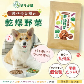 【在庫一掃セール！】犬 野菜 おやつ 無添加 国産 5種の乾燥野菜 個包装 各20g ( 人参 キャベツ さつまいも かぼちゃ 大根 ) 食物繊維 ミネラル ビタミン 超小型犬 小型犬トッピング 犬の野菜