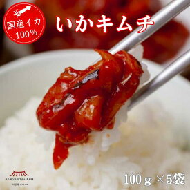 ＼国産イカ使用／【いかキムチ100g×5袋】 お買い得 お徳用 いかの塩辛 本場 韓国 海鮮キムチ ご褒美キムチ 贅沢 発酵 手仕込み 旨辛 ご飯のお供 おつまみ ギフト サランチェ キムチソムリエ 第一物産
