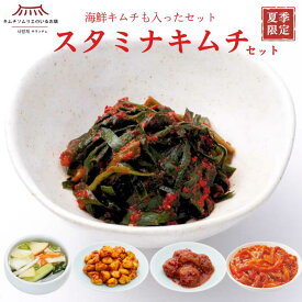 【夏季限定】夏のスタミナキムチセット（水キムチ・ぎょうじゃ菜・カレーニンニク・梅干し・いか）送料無料 山形県 行者 にんにく 紀州産 はちみつ クエン酸 旨辛 ビタミン 海鮮キムチ ごほうびキムチ 自然発酵 乳酸菌 免疫力 発酵食品 健康 唐辛子 第一物産 キムチソムリエ