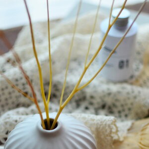 [hfBt[U[Ȃǃ[tOXɂ߂̃Vvłȃu`^Cv̌pXeBbNms[։tb2c Vv[h ^ c[ Sn  } M