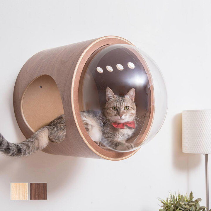 楽天市場】マイズーの宇宙船モチーフの猫ベッド｜壁付けタイプの 