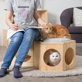〈MYZOOマイズー〉六角ハウスビジーキャット用プレートクッション