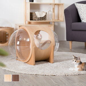 猫 ハウス 木製の通販 価格比較 価格 Com