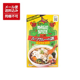 【メール便対応】【送料込】MAGIC SPICE 元祖スープカレーの源 辛味の素付き 3食入 スープカレー 選べる内容量 1個/2個 ※同梱不可