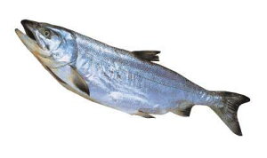 yzykCYz[V1E(3kgOj]yAz