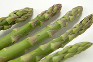 y\zyzykC\Vz[O[AXp]1.8kgi͗ߘa8N6{AzBwsj