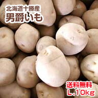 【予約】【送料無料】【新じゃが】【じゃがいも】【北海道十勝産】[男爵いも]（L・10kg）