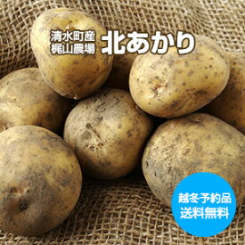 【予約】【送料無料】【越冬】【熟成】【じゃがいも】【北海道 十勝清水産・梶山農場】[北あかり 5kg]（M〜2L混合 サイズ非選別） 越冬じゃがいも 低温熟成 バタじゃが ポテトサラダ