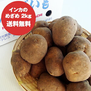 yz CĴ߂ () L`MTCY 2kg ykC \Yz