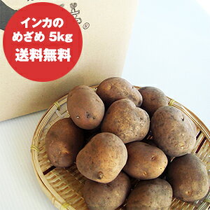 yz CĴ߂ () L`MTCY 5kg ykC \Yz