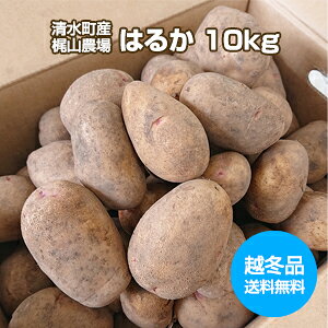 �y�\��z�y���������z�y�z�~�z�y�n���z�y���Ⴊ�����z�y�k�C�� �\�������Y�E���R�_��z[�͂邩 10kg]�i2L�`M�����j �z�~���Ⴊ���� �ቷ�n�� �o�^���Ⴊ �|�e�g�T���_ �t���C�h�|�e�g