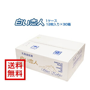 yzyΉفz [l]12×301P[X