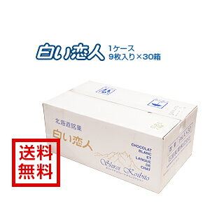 yzyΉفz [l]9×301P[X