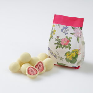 �X�g���x���[�`���R �z���C�g ����