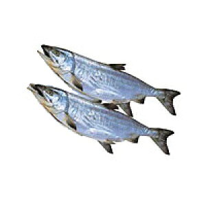 yzykCYz[V2E(5kgOj]yAz