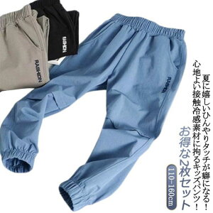 ʊw 2Zbg C[W[pc  q 100 t Ђ LbY  2Zbg  w z qǂ ʋC ڐG⊴ WjA ⊴pc  悯 WK[pc 