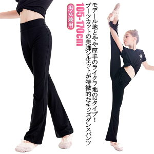 r _Xpc qp _X tApc 140 WY_X 110 _Xߑ Kpc pc 105 WYpc LbY r rpc oG _Xpc V̑ bX EFA t