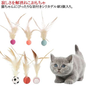 Lp ˂tFU[{[ Lp{[ oXPbg{[ ^ Lp{[   H ǐ TbJ[ LVїp 싅p C^NeBu oEVO{[ tFU