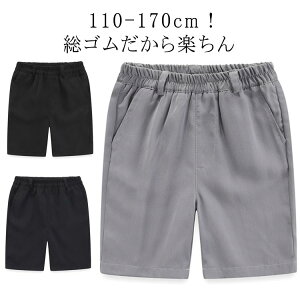  n[tpc w w j̎q wZ n[tpc S̐n[tpc S^Cv ʊw 䒷 lCr[  ubN O[ 􂦂 S̐n[tpc   w