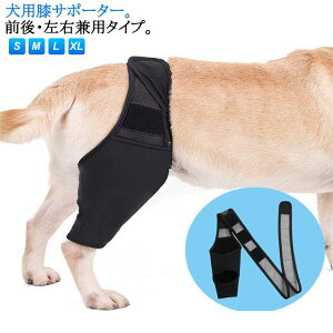 veN^[ ֐߃veN^[ ֐ߕی ܎ Œ x  둫 G EP ی  p O㍶Ep  T|[^[ s⏕ nr PApi O ybgpi V 