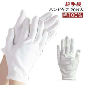  20g  100  nhPA  ĝ r Rbg Ȏ ێ Ags[ z Ɨp K[fjO XX Ǝ Ci[  ʋC z 